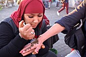 Marokko, Hoher Atlas, Marrakesch, Kaiserstadt, von der UNESCO zum Weltkulturerbe erklärte Medina, Platz Jemaa El Fna, mit Henna gefärbte Frauenhand