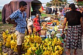 Sri Lanka, Western province, Negombo, sunday street market