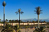 Marokko, Hoher Atlas, Marrakesch, Reichsstadt, Medina, die von der UNESCO zum Weltkulturerbe erklärt wurde, die Stadtmauern und der schneebedeckte Atlas im Hintergrund, drei in falschen Palmen versteckte Mobilfunkantennen