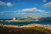 Italy, Sardinia, Stintino, watchtower and Asinara island