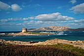 Italien, Sardinien, Stintino, Wachturm und Insel Asinara