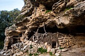 Italy, Sardinia, Baunei, Orosei Gulf, trek towards Cala Goloridze, coile or traditional shepherd's hut in stones and branches
