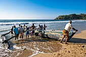 Sri Lanka, Southern province, Talalla beach, fishermen pulling up their fishingboat on the sand