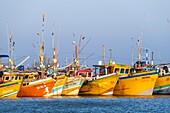 Sri Lanka, Südprovinz, Tangalle, der Fischereihafen