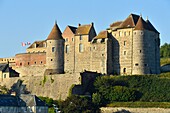 France, Seine Maritime, Pays de Caux, Cote d'Albatre (Alabaster Coast), Dieppe, castle museum