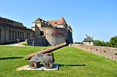 Frankreich, Seine Maritime, Pays de Caux, Cote d'Albatre (Alabasterküste), Dieppe, Schlossmuseum, Schloss Dieppe aus dem fünfzehnten Jahrhundert, Kanonen auf der Festungsmauer