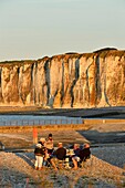 France, Seine Maritime, Pays de Caux, Cote d'Albatre, Saint Valery en Caux, Amont cliff