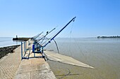 Frankreich, Loire Atlantique, Saint Nazaire, Fischerei am Kai (Quai de la Jetée Ouest)