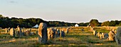 Frankreich, Morbihan, Carnac, megalithische Stätte von Menec