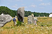 France, Morbihan, Carnac, megalithic site of Menec