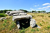 France, Morbihan, Carnac, row of megalithic standing stones at Kermario