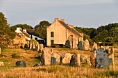 Frankreich, Morbihan, Carnac, megalithische Stätte von Menec