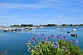 France, Finistere, Pays des Abers, Legends Coast, Plouguerneau, Aber Wrac'h port