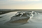 France, Somme, Baie de Somme, Saint Valery sur Somme, mouth of the Somme Bay at low tide