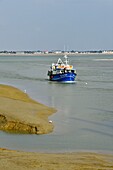 Frankreich, Somme, Cayeux-sur-Mer, Le Hourdel, kleiner Fischerhafen im Süden der Somme-Bucht
