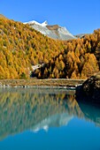 Schweiz, Kanton Wallis, Zermatt, Findelntal, Moosjisee und Walliser Alpen, Gipfel Strahlhorn und Adlerhorn