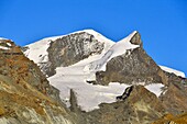 Switzerland, canton of Valais, Zermatt, Findelntal (Findeln valley) with Strahlhorn peak