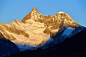 Switzerland, canton of Valais, Zermatt, Lake Stellisee and Valais Alps, Obergabelhorn (4063 m) and Wellenkuppe peaks