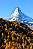 Switzerland, canton of Valais, Zermatt, the Matterhorn (4478m)