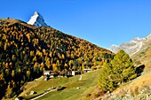 Switzerland, canton of Valais, Zermatt, hamlet Zmutt in front of the Matterhorn (4478m)