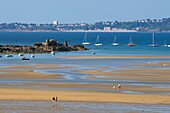 France, Finistere, Locquirec, harbour at low tide