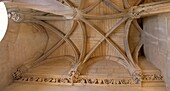 Frankreich, Cote d'Or, Dijon, von der UNESCO zum Weltkulturerbe erklärtes Gebiet, Palast der Herzöge von Burgund, der Turm von Philippe le Bon, Innentreppe