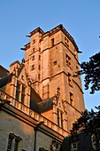 Frankreich, Cote d'Or, Dijon, von der UNESCO zum Weltkulturerbe erklärtes Gebiet, Palast der Herzöge von Burgund, der Turm von Philippe le Bon
