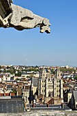 France, Cote d'Or, Dijon, area listed as World Heritage by UNESCO, church Saint Michel viewed from the tower Philippe le Bon (Philip the Good) of the Palace of the Dukes of Burgundy