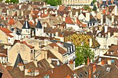 Frankreich, Cote d'Or, Dijon, von der UNESCO als Weltkulturerbe anerkanntes Gebiet, Blick vom Turm Philippe le Bon (Philipp der Gute) des Palastes der Herzöge von Burgund