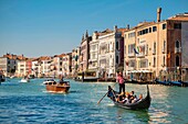 Italien, Venetien, Venedig auf der UNESCO-Liste des Weltkulturerbes, Gondelfahrt auf dem Canal Grande