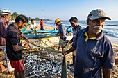 Sri Lanka, Ostprovinz, Pottuvil, Arugam Bucht, zurück vom Fischen