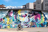France, Isere, Grenoble, Bouchayer-Viallet district, Esplanade Andry Farcy, the Lion of the Grenoble artists, Srek, Greg and Will, fresco created during the Grenoble Street-Art Fest 2015