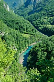 Montenegro, Region Durmitor, Tara-Schlucht von der Durdevika-Brücke aus