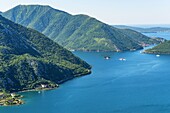 Montenegro, Kotor region, the Bay of Kotor and town of Risan