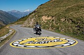 Frankreich, Savoie, Saint Jean de Maurienne, Saint Colomban des Villards, in einem Radius von 50 km um die Stadt wurde das größte Radfahrgebiet der Welt geschaffen, Glandon-Pass, ein herrliches Gemälde auf dem Asphalt ermutigt einen deutschen Radfahrer