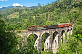 Sri Lanka, Uva province, Demodara (surroundings of Ella), the Nine Arches Bridge built in 1921 under the Bristish colonial-era