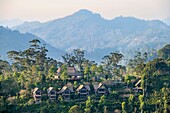 Sri Lanka, Uva-Provinz, Ella, Luxushotel 98 Acres Resort & Spa inmitten von Teeplantagen