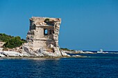 France, Haute Corse, Agriates desert, Gulf of Saint Florent, Mortella tower