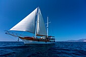 Frankreich, Haute Corse, Golf von Saint Florent, das guletartige Holzboot von Jacques Croce, Aliso day Cruise obligatorische Erwähnung