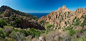 France, Corse du Sud, Gulf of Porto, listed as World Heritage by UNESCO, Piana shores with pink granite rocks