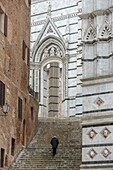 Italien, Toskana, Siena, historisches Zentrum, von der UNESCO zum Weltkulturerbe erklärt, Ostfassade der Kathedrale Notre Dame de l'Assomption