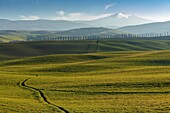 Italy, Tuscany, Val d'Orcia listed as World Heritage by UNESCO, Bagno Vignoni, San Quirico d'Orcia, countryside landscape