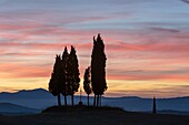 Italy, Tuscany, Val d'Orcia listed as World Heritage by UNESCO, San Quirico d'Orcia, cypresses and cross at sunrise