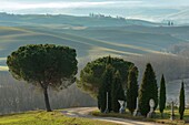 Italy, Tuscany, Val d'Orcia listed as World Heritage by UNESCO, San Quirico d'Orcia, countryside landscape