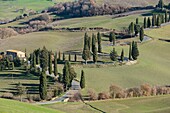 Italien, Toskana, Val d'Orcia, von der UNESCO zum Weltkulturerbe erklärt, Monticchiello, kurvenreiche Straße mit Zypressen