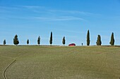 Italy, Tuscany, Val d'Orcia listed as World Heritage by UNESCO, Pienza, cypresses and red car
