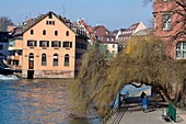Frankreich, Bas Rhin, Straßburg, Altstadt, die von der UNESCO zum Welterbe erklärt wurde, das Viertel Petite France