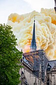France, Paris, area listed as World Heritage by UNESCO, Ile de la Cite, Notre Dame de Paris Cathedral, fire which ravaged the cathedral on April 15, 2019