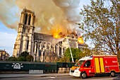 Frankreich, Paris, Gebiet, das zum UNESCO-Welterbe gehört, Kathedrale Notre-Dame de Paris, Feuer, das die Kathedrale am 15. April 2019 verwüstet hat