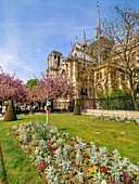 Frankreich, Paris (75), Weltkulturerbe der UNESCO, Kathedrale Notre Dame, Paris, 15. April 2019, 3 Stunden vor dem furchtbaren Brand, der den gesamten Rahmen verwüsten wird